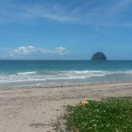 Charmant Et Spacieux Studio A 50M De La Plage Le Diamant Zewnętrze zdjęcie