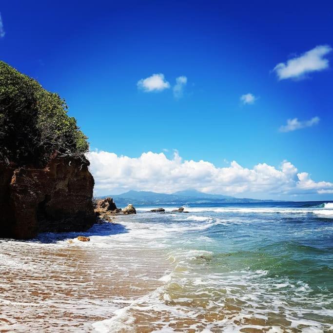 Charmant Et Spacieux Studio A 50M De La Plage Le Diamant Zewnętrze zdjęcie