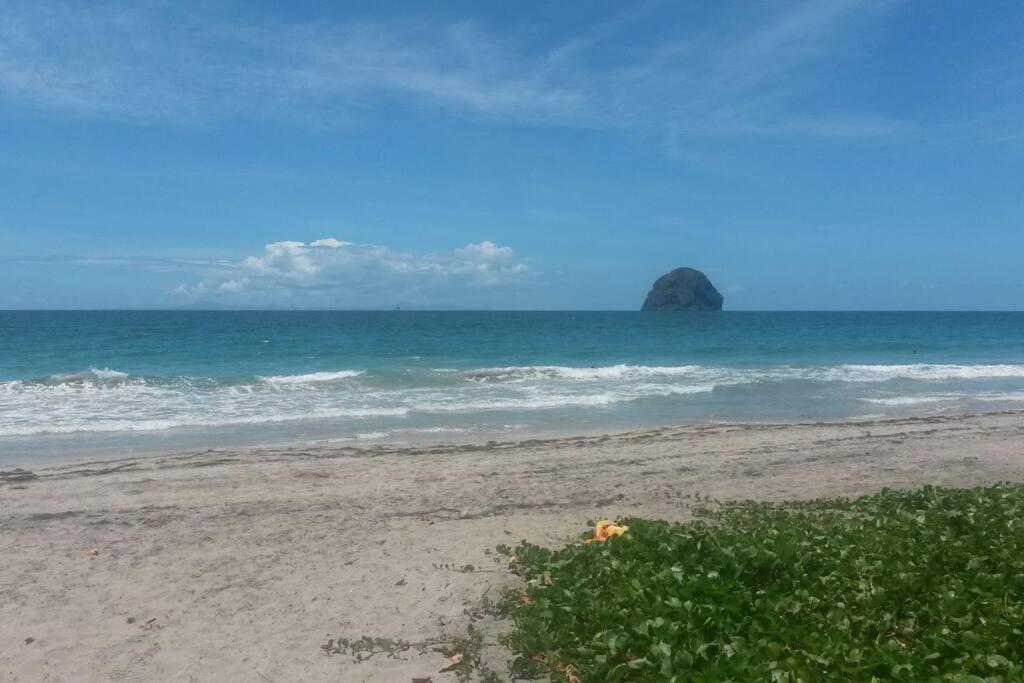 Charmant Et Spacieux Studio A 50M De La Plage Le Diamant Zewnętrze zdjęcie